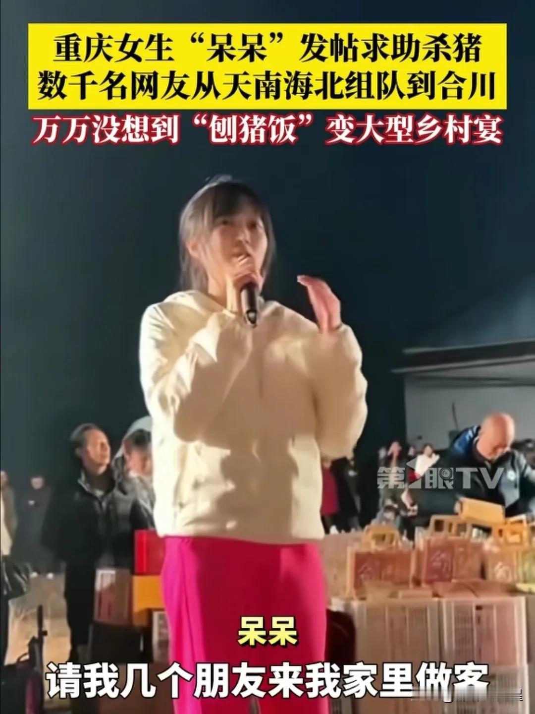 重庆合川呆呆妹三天的直播总收入，统计出来了！从1月9日呆呆发帖请人到家按猪，