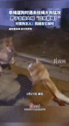 狗咬狗！湖北，一男子遛狗不牵绳，狗追着邻居的狗一顿咬，邻居多次怒吼让他把绳牵上，