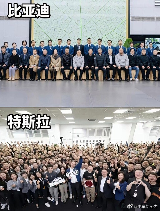 新能源汽车新能源汽车比亚迪特斯拉比亚迪大合照🆚特斯拉大合照