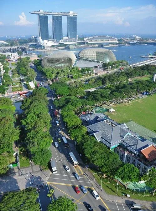 7月19日新加坡受到网络攻击组织攻击，结果《海峡时报》《联合早报》、亚洲新闻台等