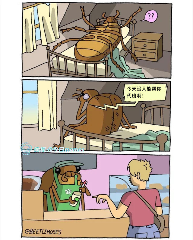 暴打6颗柠檬（Beetlemoses）今日meme今日memes