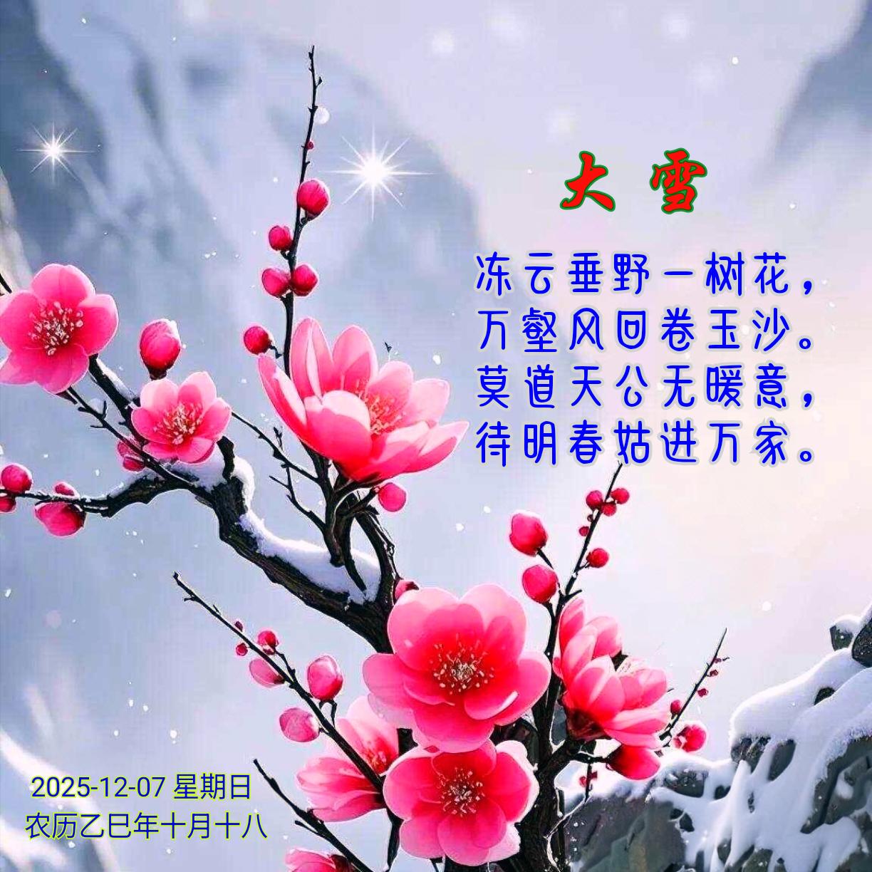 《大雪》冻云垂野一树花，万壑风回卷玉沙。莫道天公无暖意，待明春姑进万家。