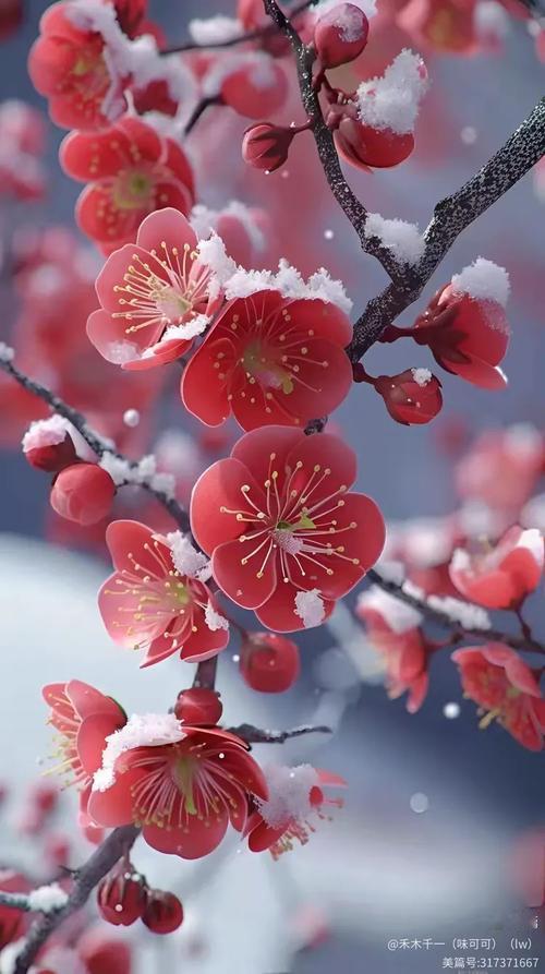 冰霜昨夜消，草木今朝醒。东风拂面来，心共春山朗。‌友友，早上好！