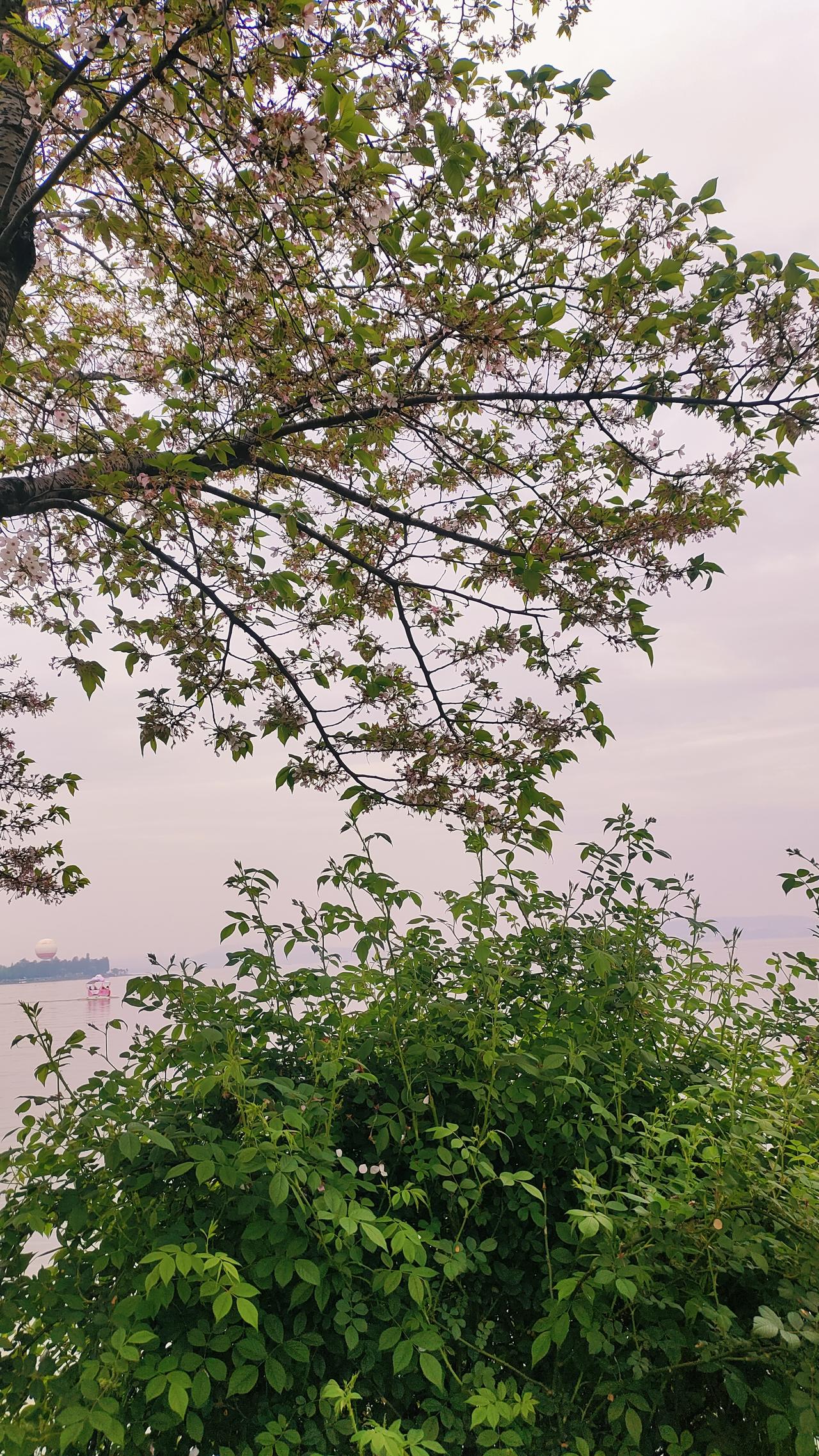 任何关系走到最后都是孤独小的时候父母是我们的天长大了就像鸟儿，飞