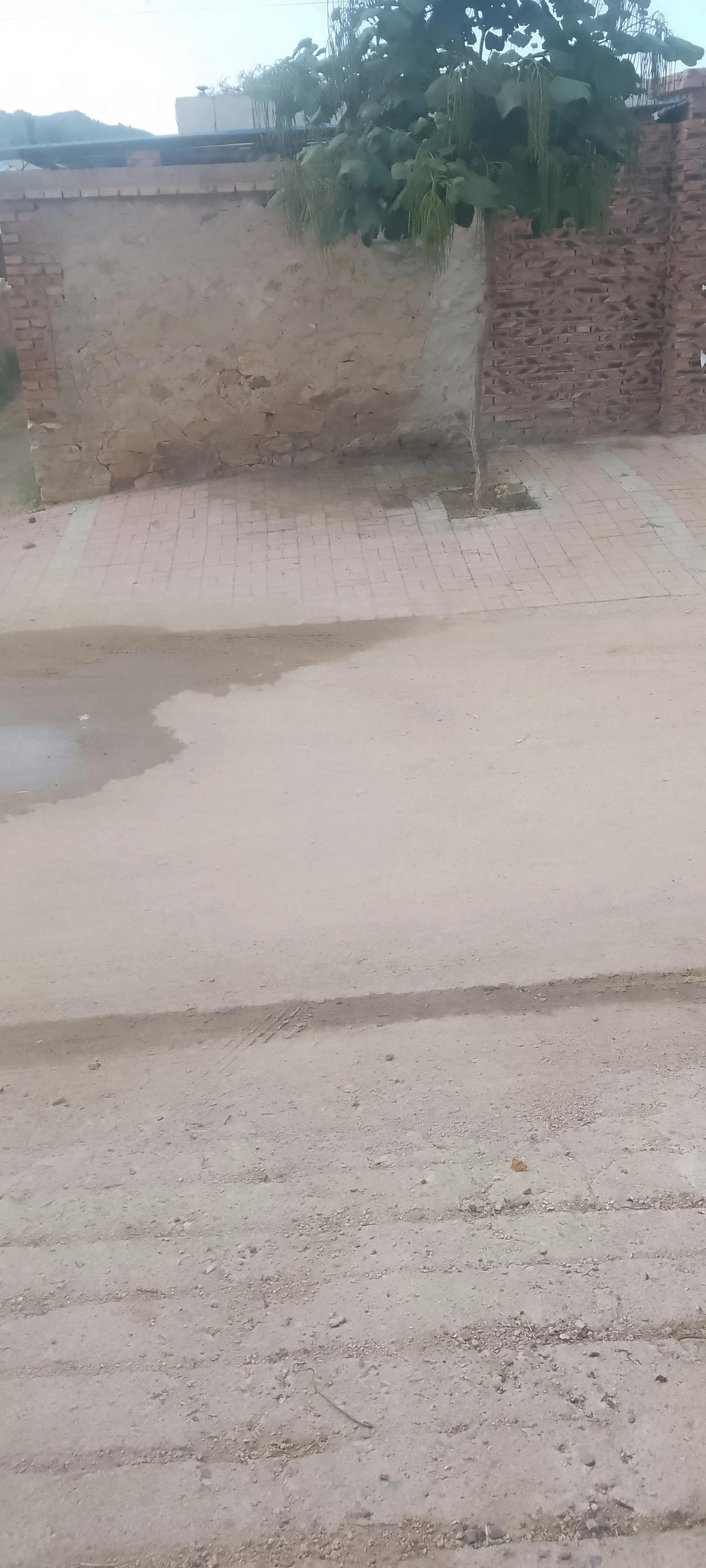 在老家，以前出大门口对着的就是隔着一条街邻居家的厕所。父亲在时，最反感的就是出了