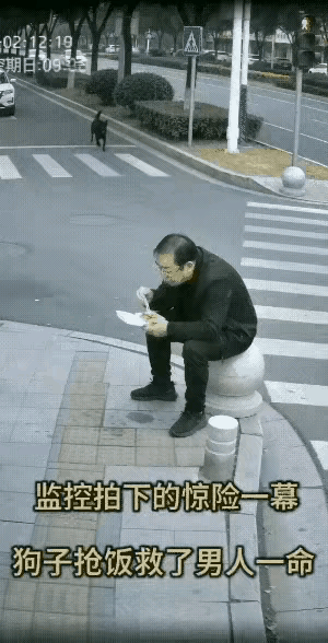 有时候命运的转折，真的藏在你想不到的小事里。就像这位大哥，本来只是被狗狗