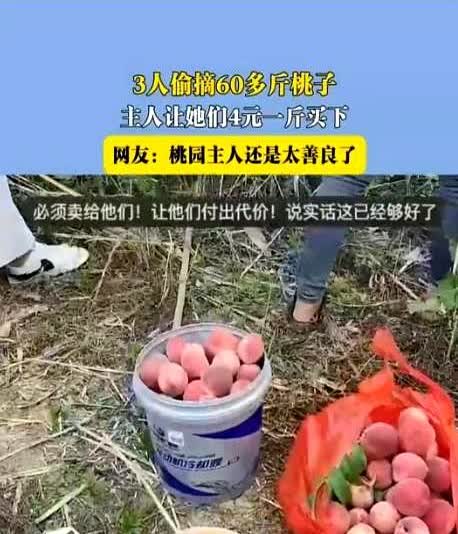 6月10日，安徽，三个人偷了女子60斤桃子，她没有报警，而是以4元1斤卖给了对方