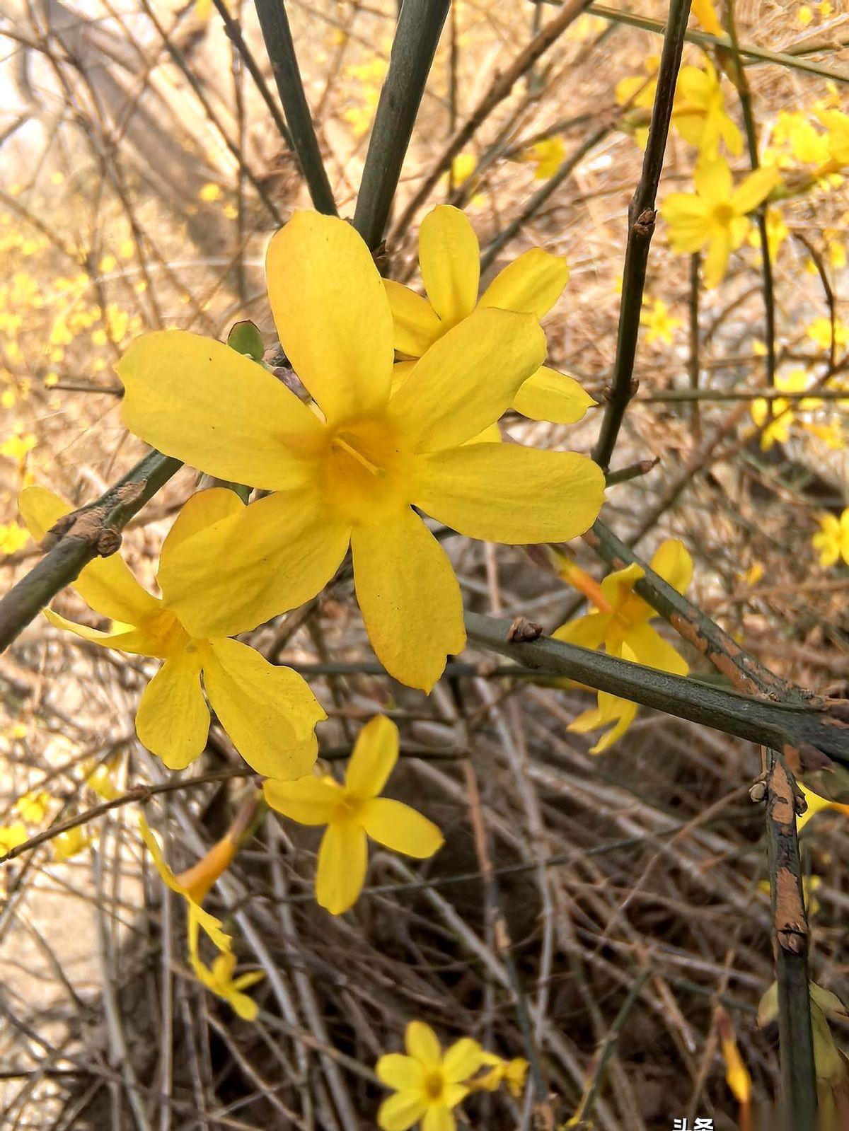闺蜜快退休了，跟我说她很焦虑，愁得睡不着觉。我心想咋了这是，家里出事了？结果