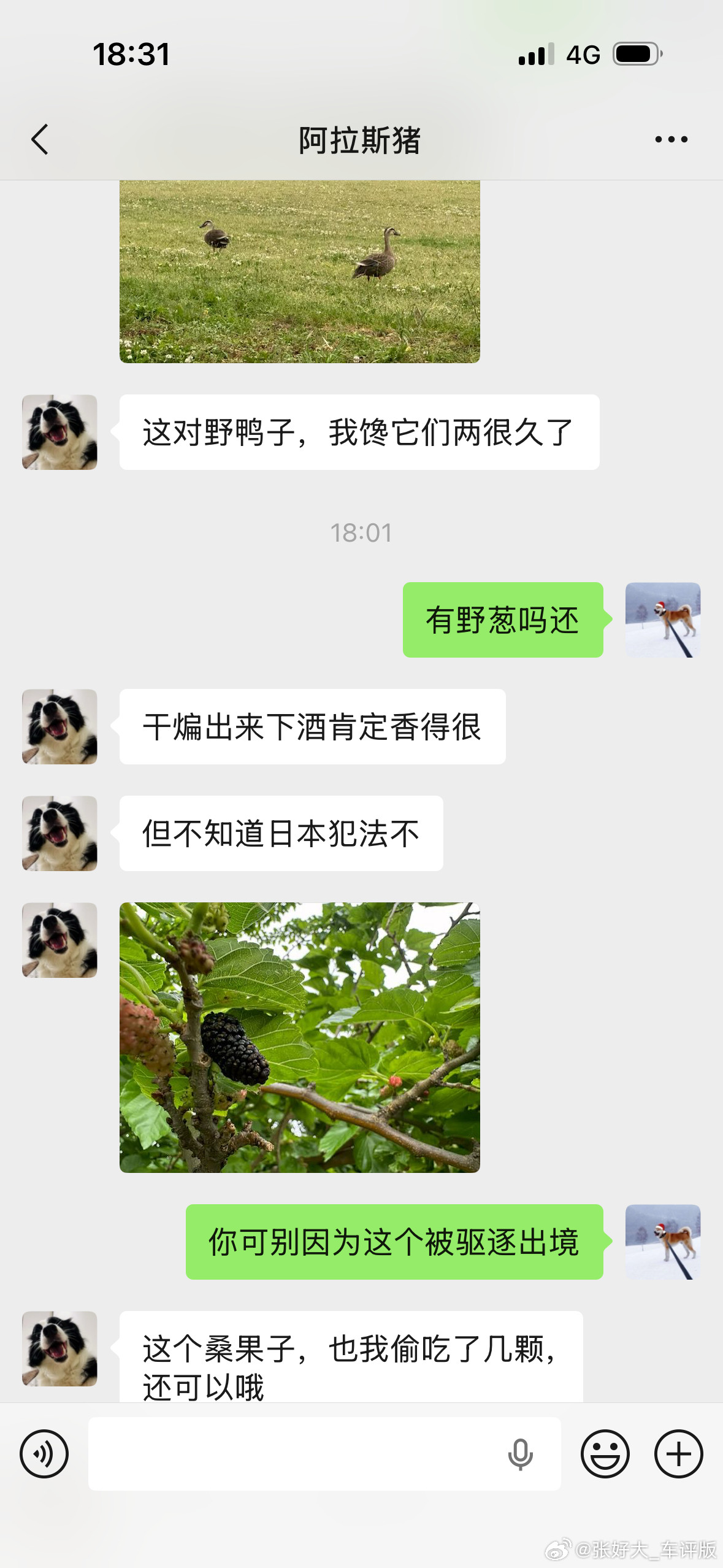 今天你偷__了吗？