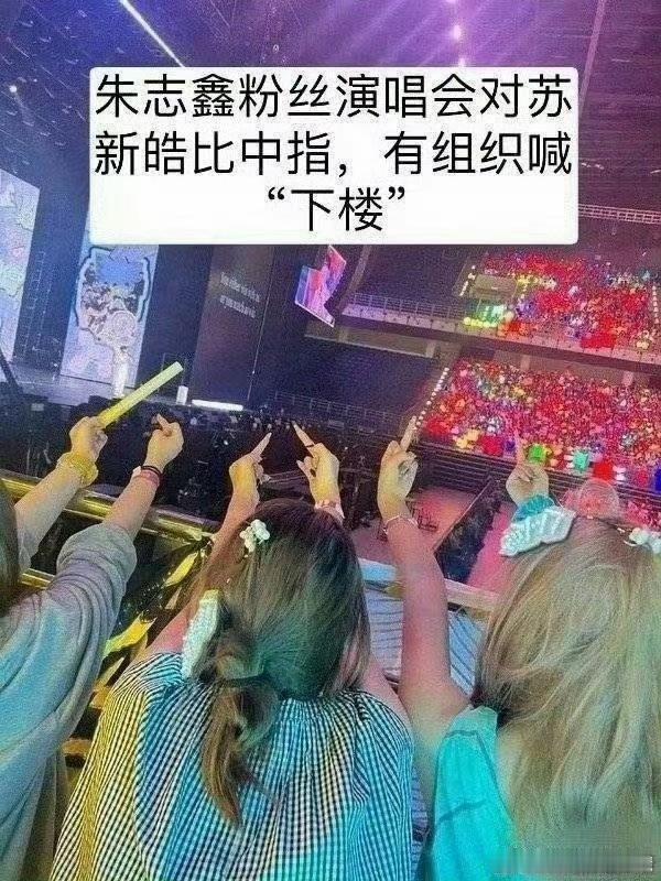 苏新皓“瞪眼”引议：粉丝行为不该是偶像失仪的遮羞布演唱会“瞪眼”争议发酵，