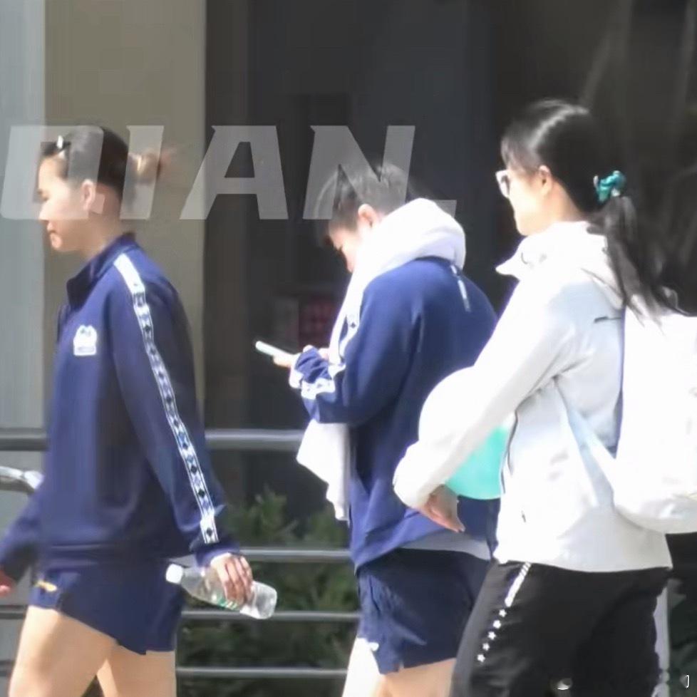 白白糯糯的莎莎