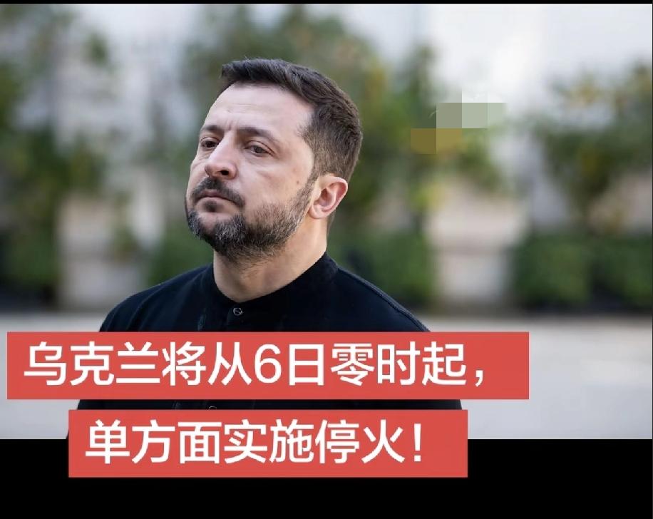 百万实战经验的乌克兰军人将何去何从。乌克兰和俄罗斯都宣布停火，如果从现在开始真