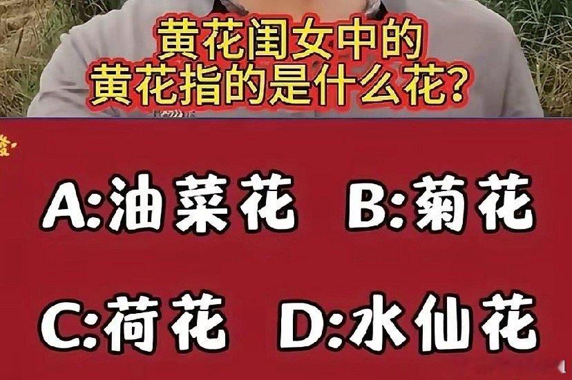 请问：黄花闺女中的“黄花”指的是什么花？A：油菜花，B：菊花，C：荷花，