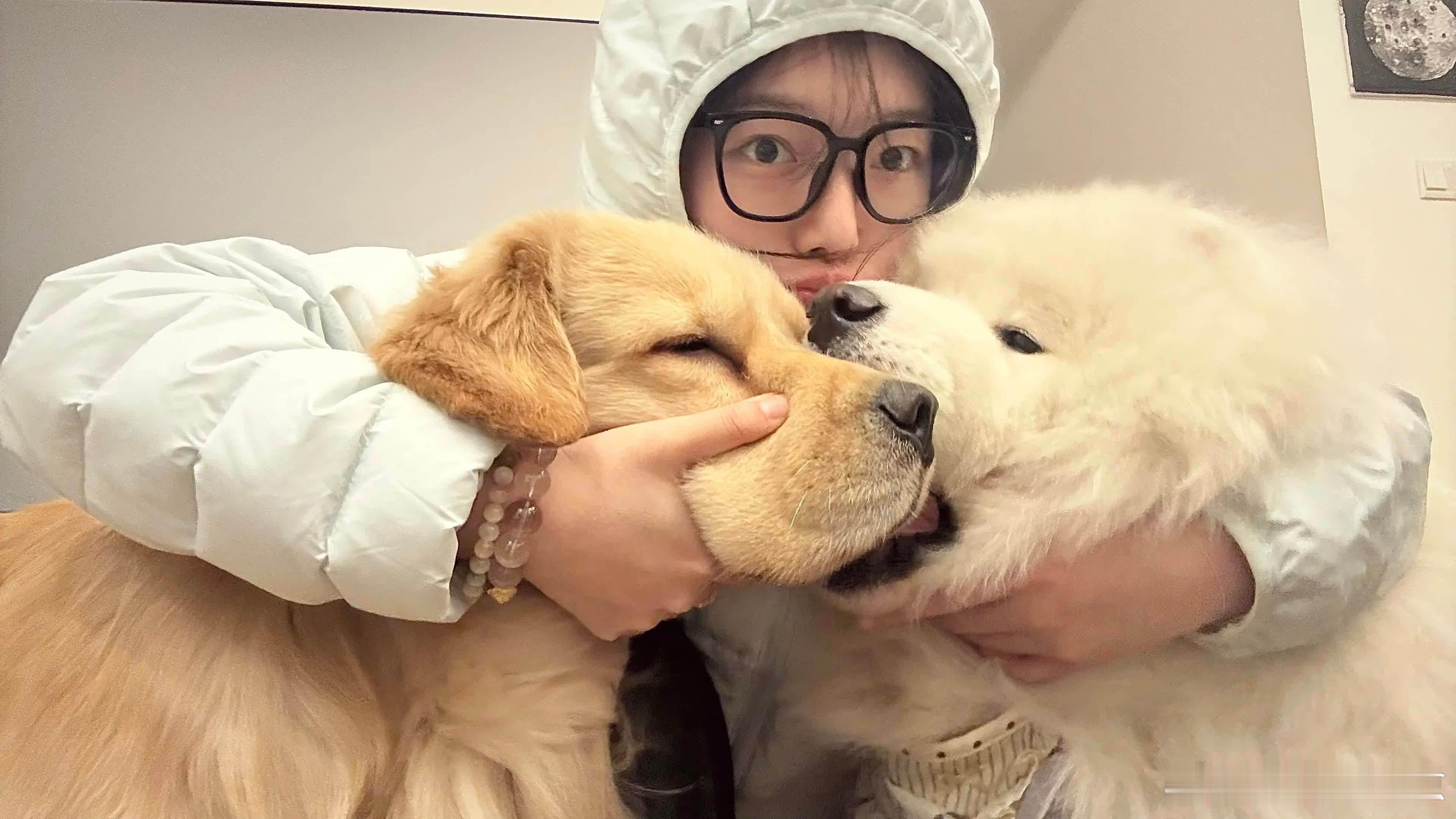 黄白坐骑萌宠宠物