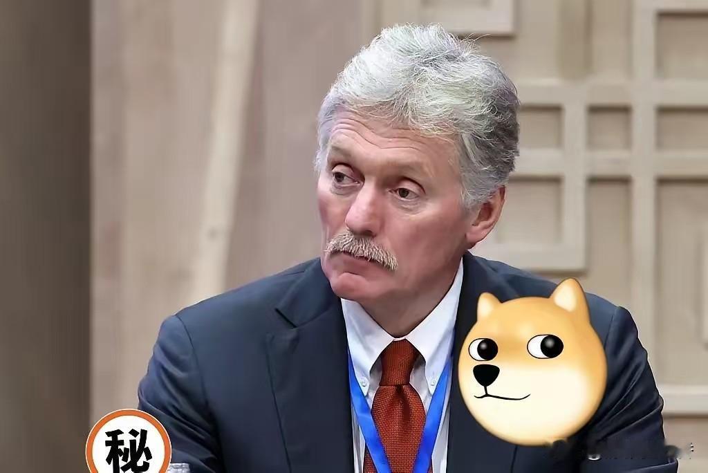 俄罗斯总统新闻秘书佩斯科夫传来新消息了！当地时间12月5日，俄罗斯总统新闻秘书