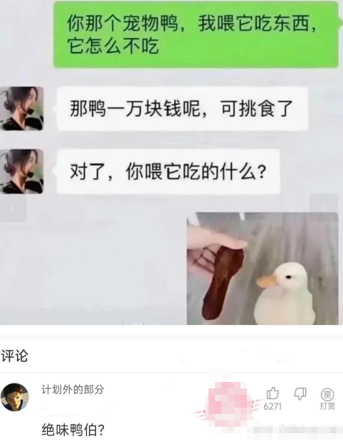 你那个宠物鸭，我喂它吃东西，它怎么不吃