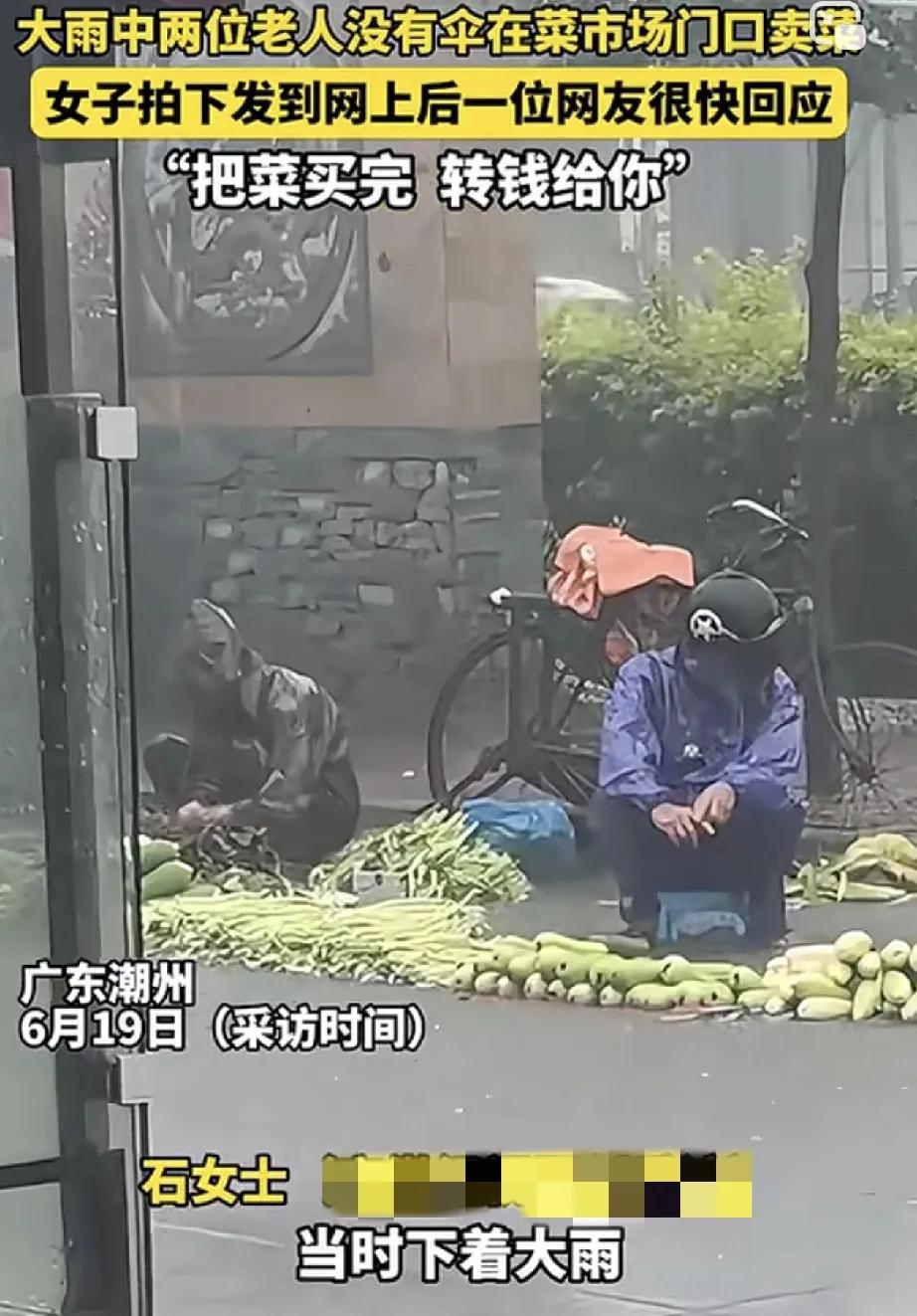 广东潮州大雨，女子拍下两位老人在菜市场卖菜的视频。倾盆大雨中，一位年轻女