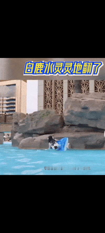 “白鹿水灵灵地翻了”是什么意思？这位新生代演员最近的一系列举动，让网友直呼看不懂