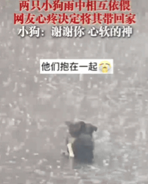 心里暖暖的！湖北，一男子开车突遭大雨，路上积水很快汇成了小溪，他远远看到前面有一