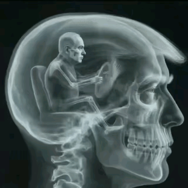 有人画了动漫:普京控制了特朗普。