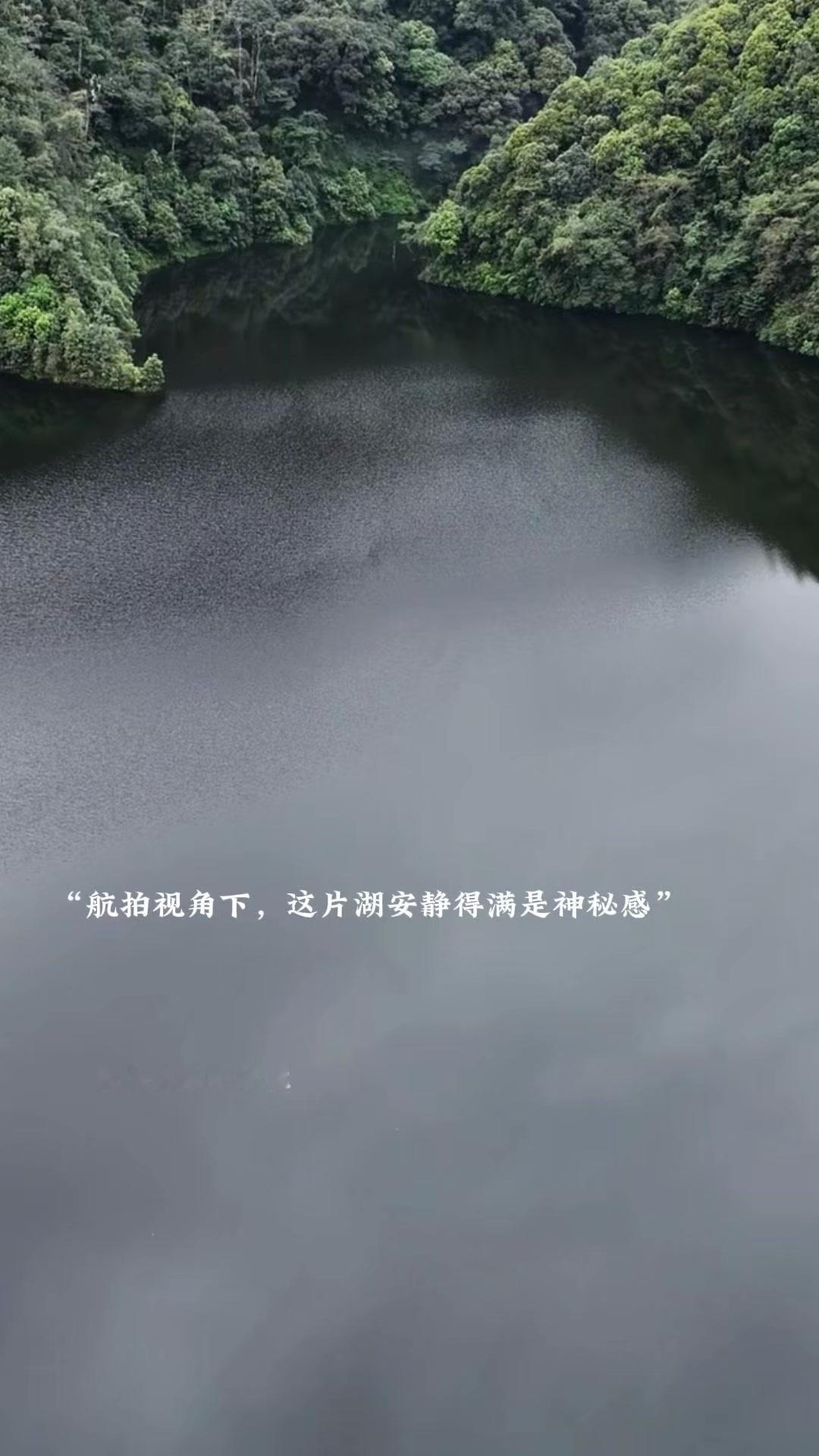 云南哀牢山深处藏着这样一座湖，没有风、没有浪，静悄悄的，倒映着岸边的树和远处的山