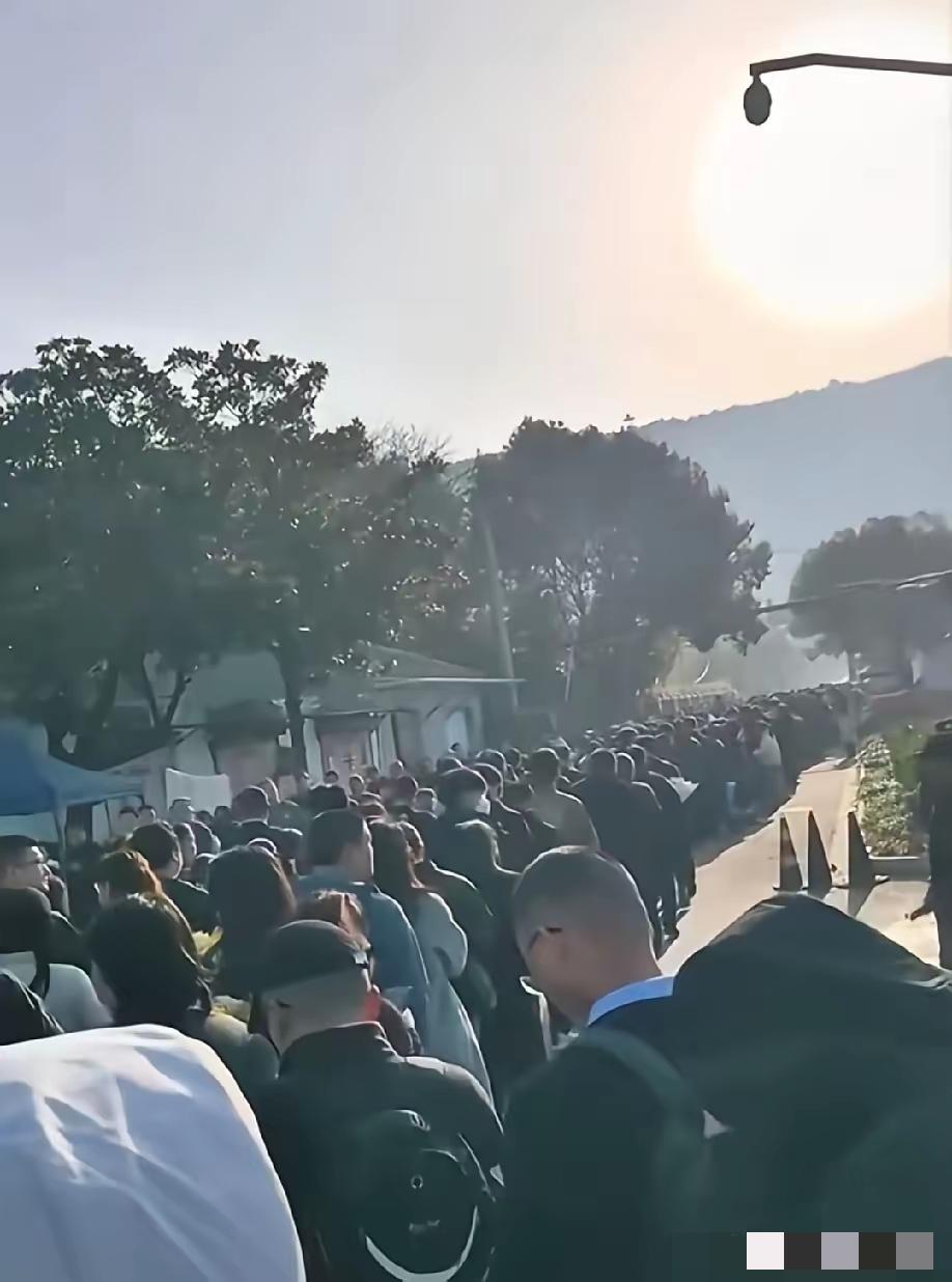 果然姜还是老的辣我问我爸：张老师一个网红，为什么他走了，这么多普通人去送他？