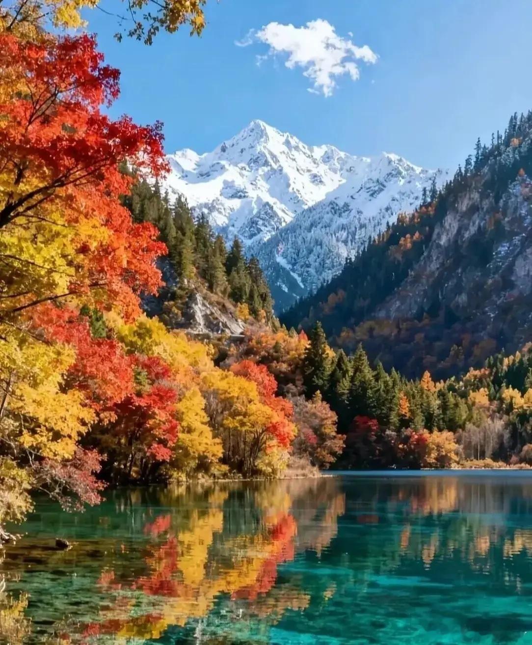 房地产之所以能带动经济，是因为房地产是全民参与，所以经济很猛又有活力。而新兴产业