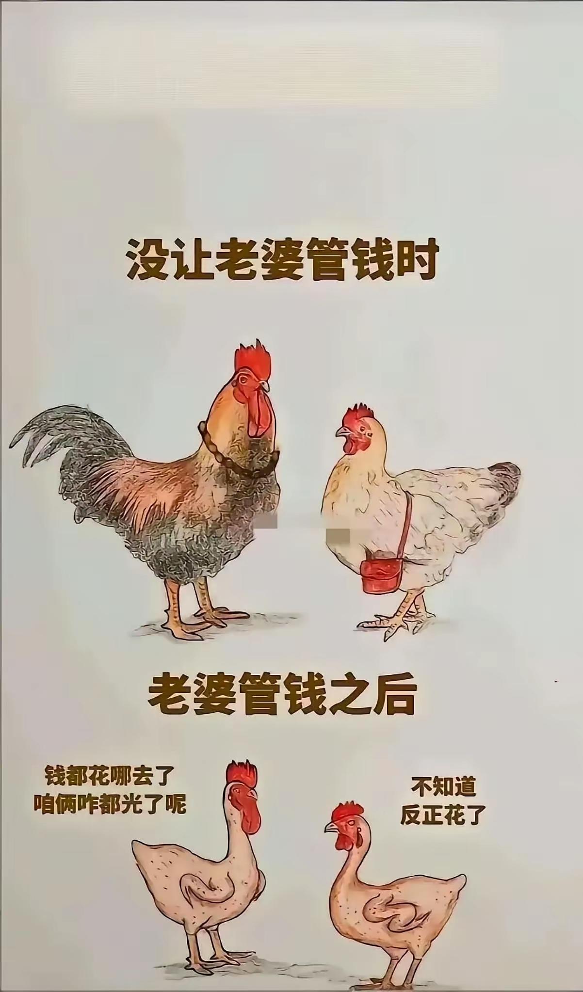 这纯粹的胡扯，我认为是搞反了。大家说是不是？