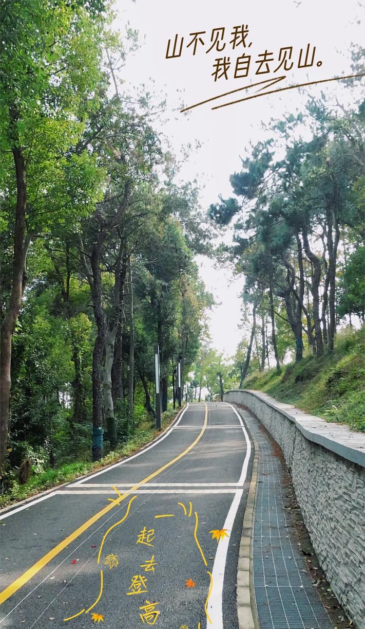 马鞍山森林公园登高宝藏路线，人少景美超治愈！拍了拍武汉在武汉过秋天@武汉东