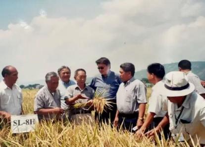 “应该立即执行死刑。”央视新闻在4月14日曝光了一起惊天大案：我国杂交水稻之父袁