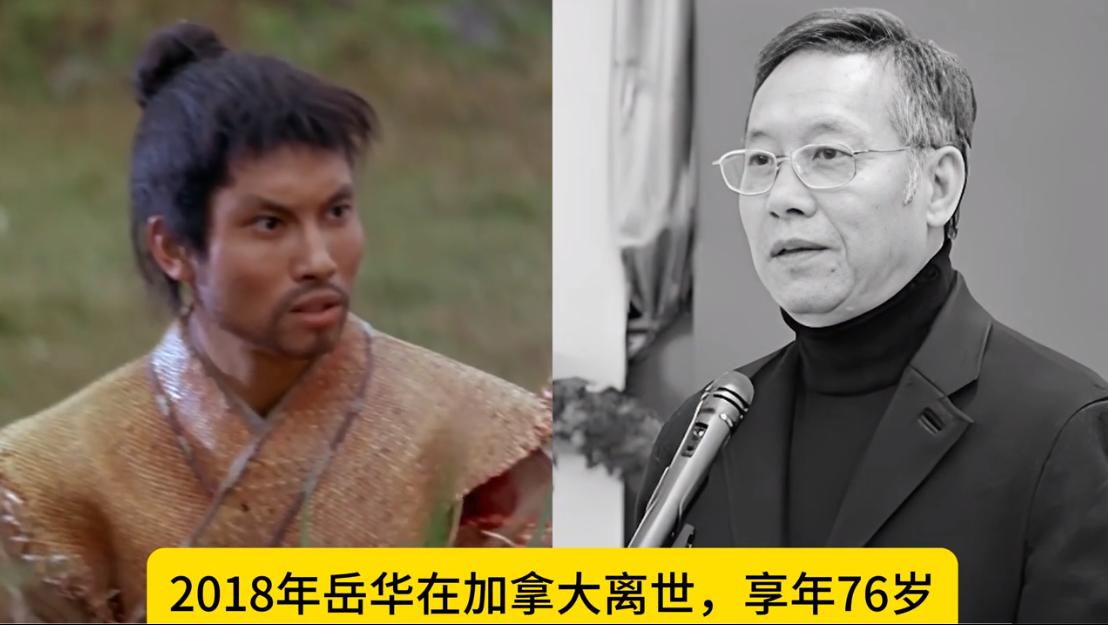 香港影坛再也见不到的功夫演员。上个世纪六十年代，随着王羽携《独臂刀》登场，断