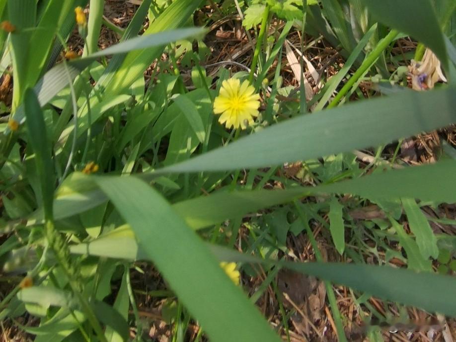 你相信吗？只有伤透了的婆婆，才能说出这样的话：不管你曾经对儿媳妇做过多少，掏心