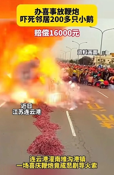 邻居家办喜事放鞭炮，“吓死”隔壁养殖场200多只小鹅！养殖户：“必须赔偿我的损失