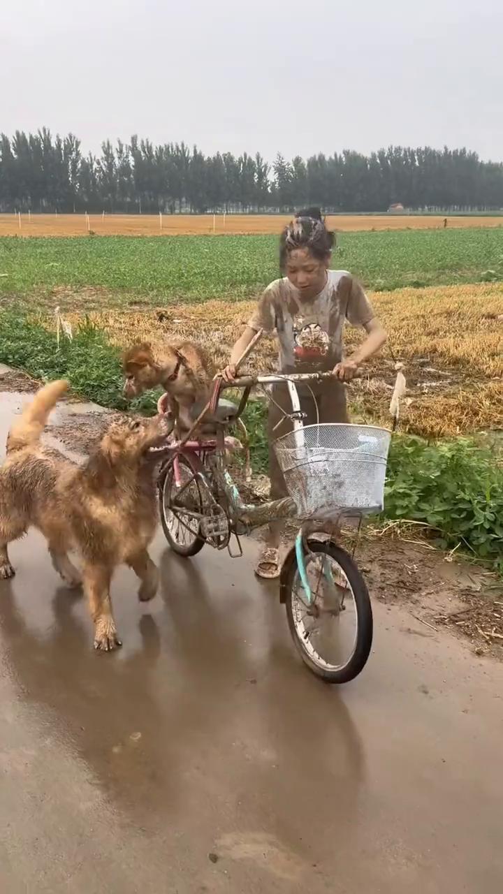呦，呦，哈哈哈哈。