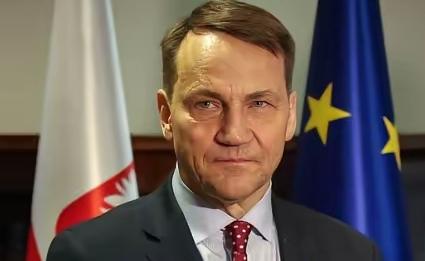 【求锤得锤】波兰外交部长西科尔斯基在谈华沙与莫斯科的关系时说：我们认为，如果