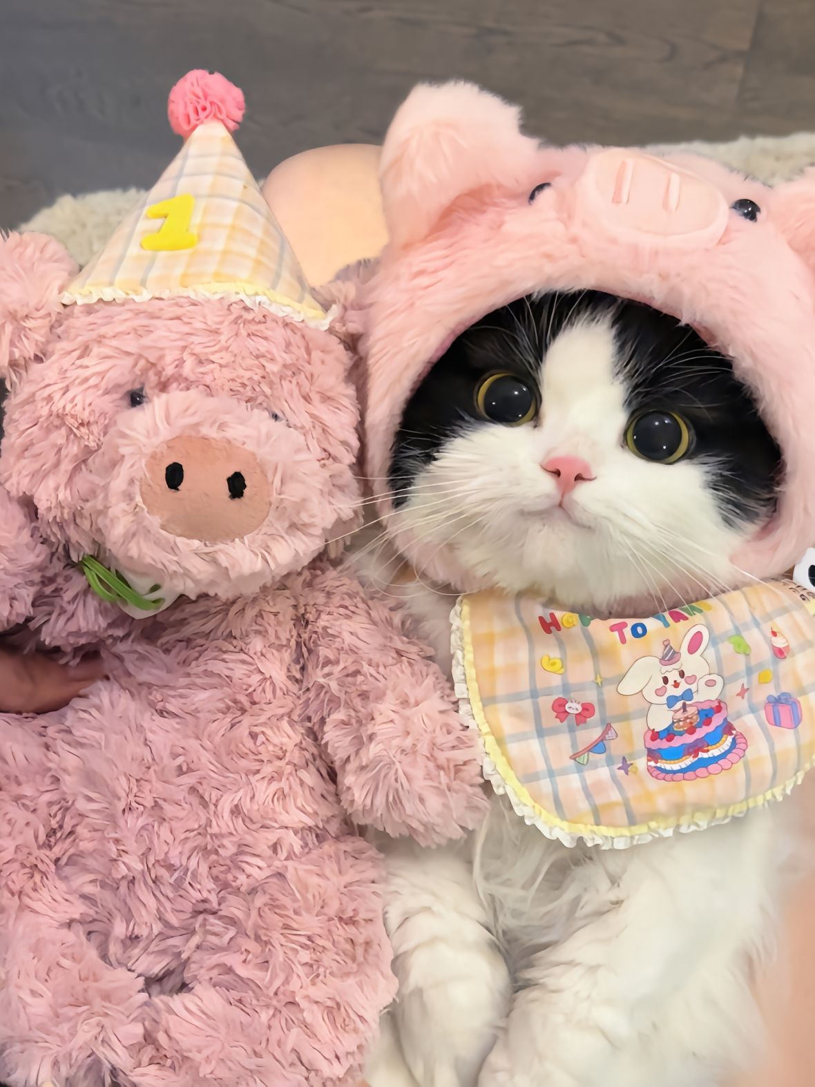 有图片但没文案