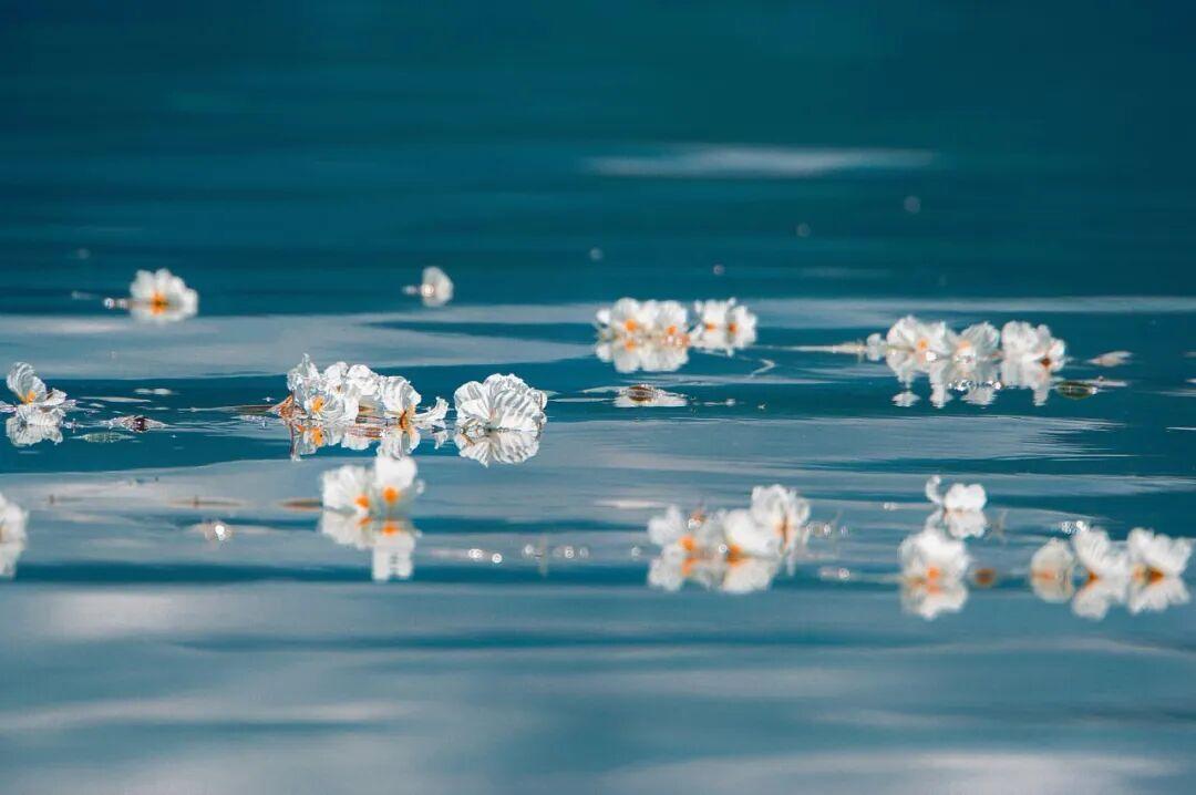 周杰伦杭州收官：中年人的青春，值多少钱？周杰伦杭州演唱会，收官了。4场，20