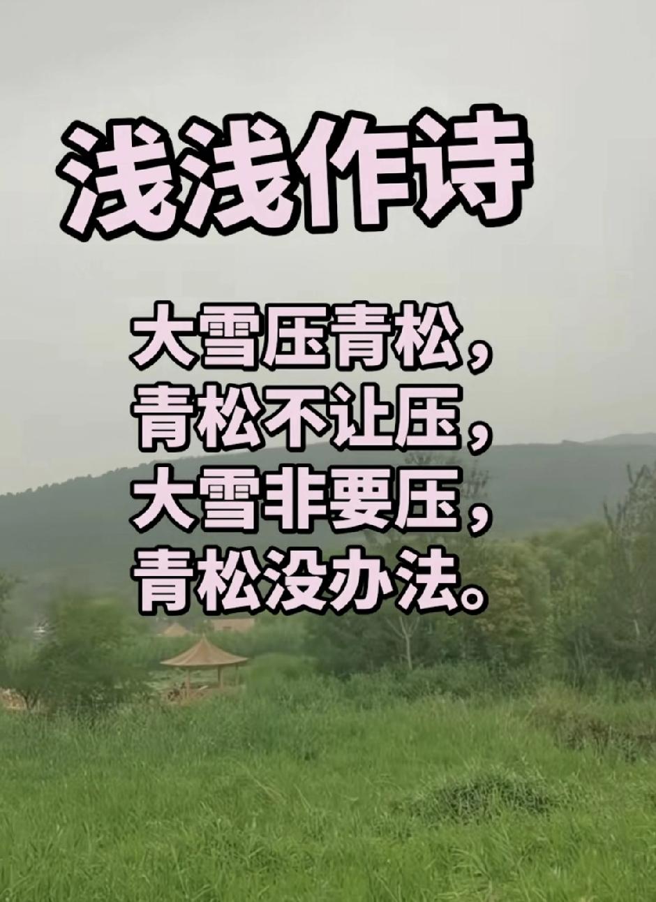 近期，高考250分的西北大学教授贾浅浅又出新作了，名叫青松，原诗是这样写的：大