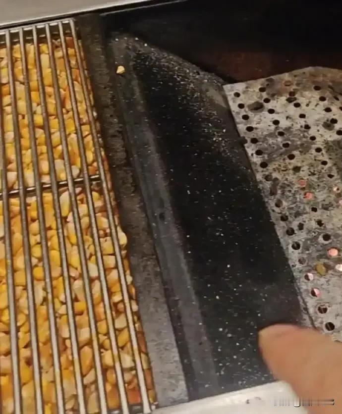 用玉米做燃料不是糟蹋粮食么？网友热评，有支持的，有反对的，有怒骂的，起因是山东烟