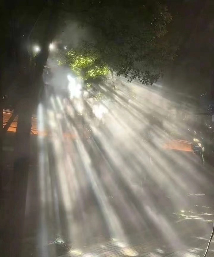 “早安，清晨的阳光不只是照亮世界，也在悄悄唤醒你心底的力量。新的一天，愿你带着温