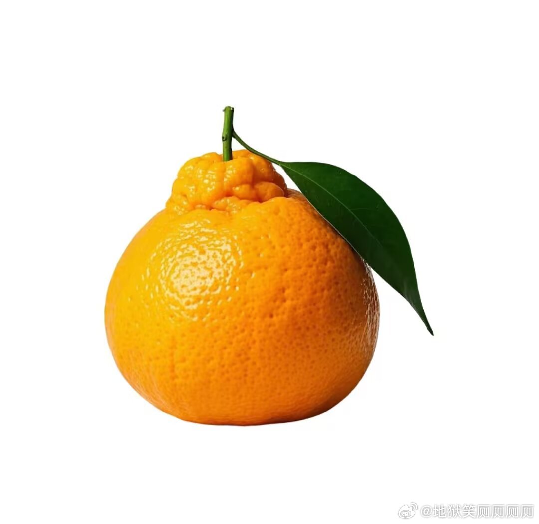 1298耙耙柑解决了橙子难剥皮橘子要吐籽的缺点耙耙柑牛逼。