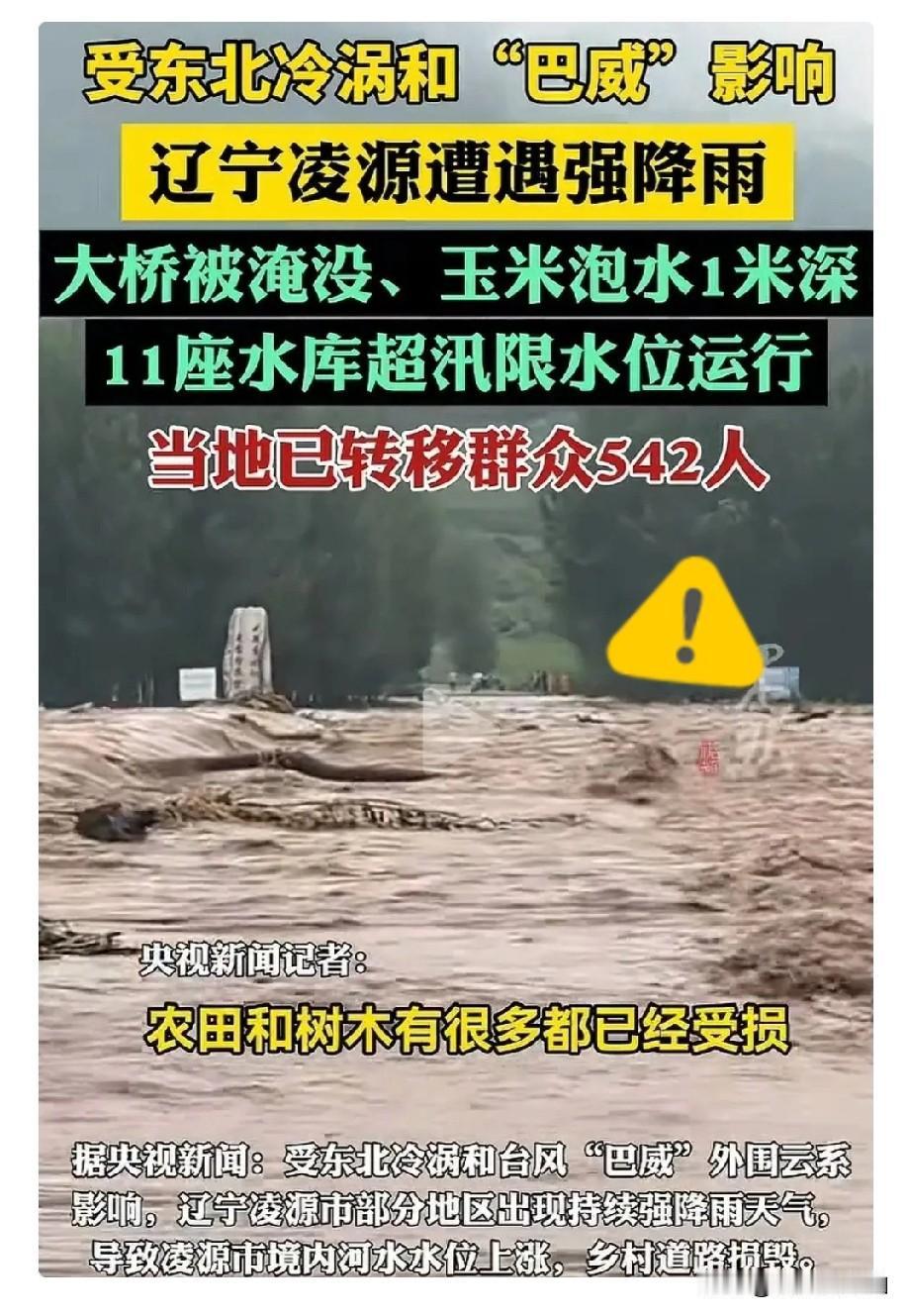 浙江人懵了，江苏人也懵了，估计连辽宁人自己也懵了，大家怎么也没想到，本来应该