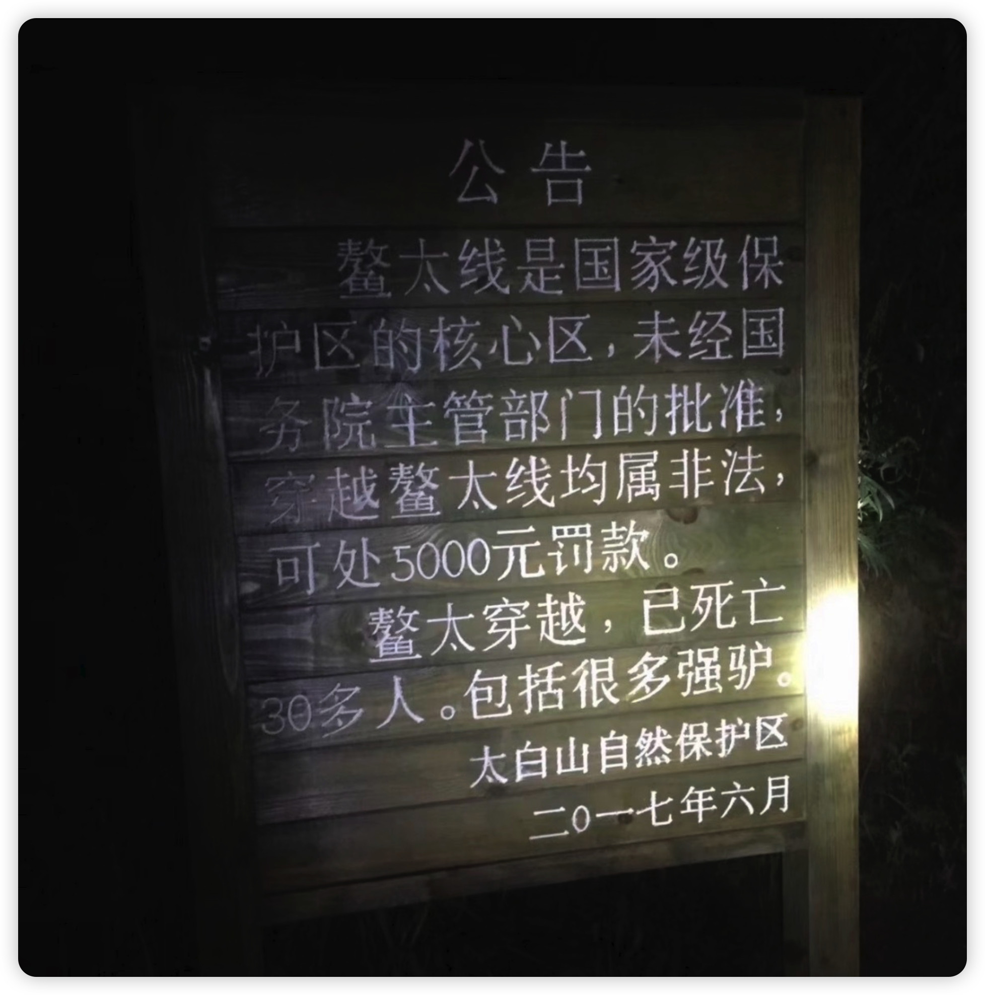 5个人里，真就没有任何一个人看过神秘园？我服了。鳌太线失联4人1人获救2死1坠