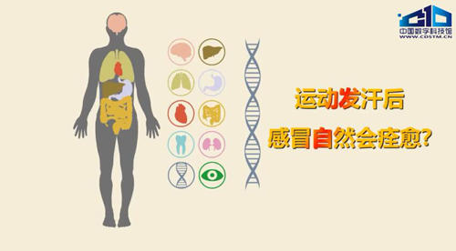 冬日感冒运动来治? 小心心肌炎找上门
