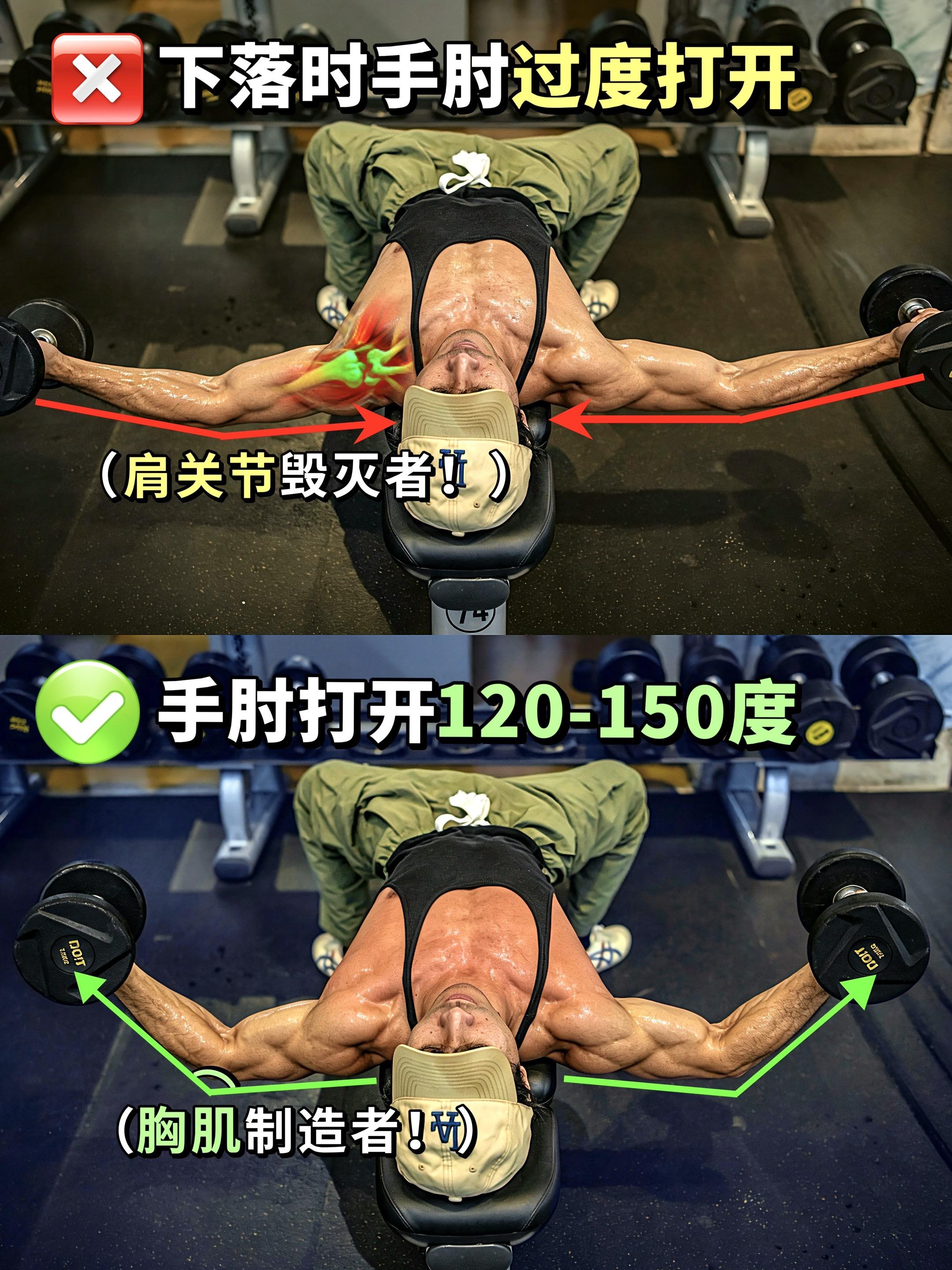 平板哑铃飞鸟详解！平板哑铃飞鸟正确做法！你的胸肌练对了吗？
