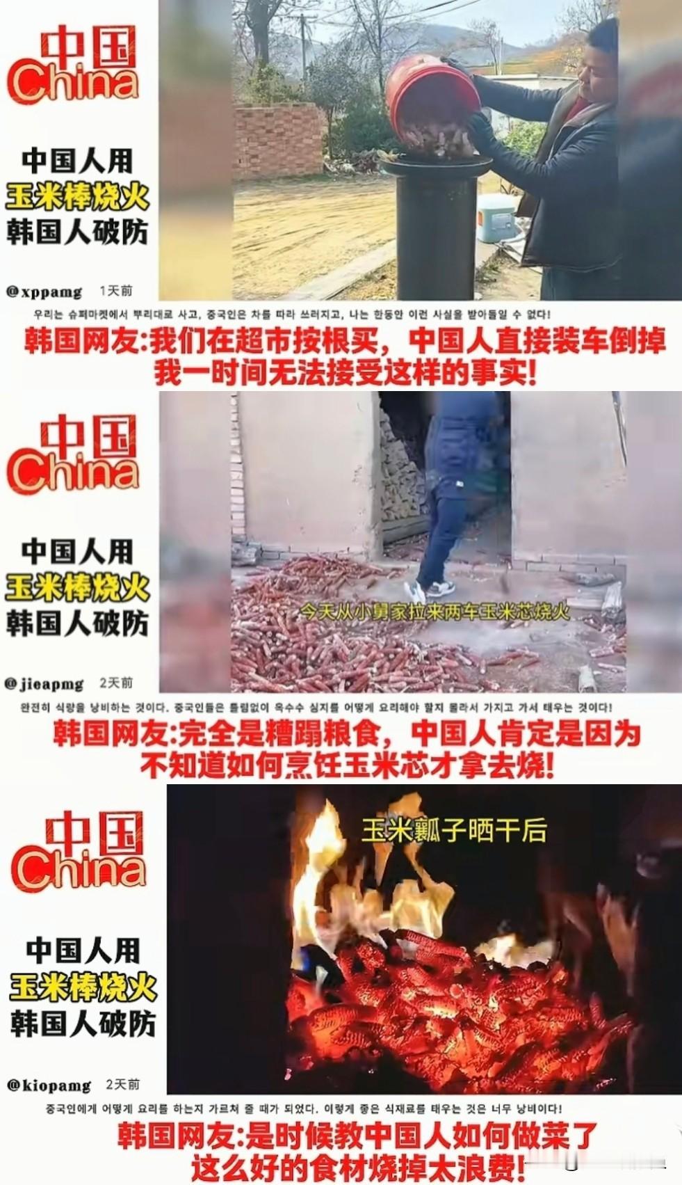【问一下】没去过北方。没去过韩国。北方是不是都把玉米吃剩下的芯当柴烧？韩