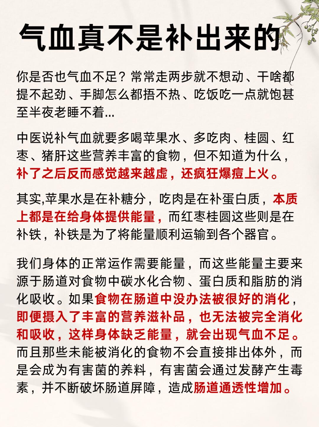 气血真的不是补出来的