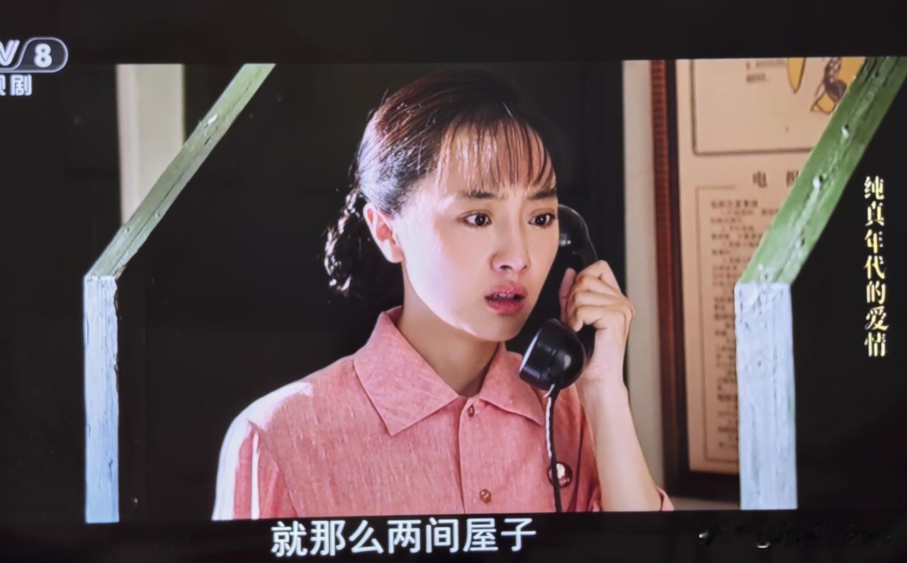 没想到演费霓哥哥的，就是《小巷人家》里的演鹏飞的石云鹏，也是《父母爱情》里演少年