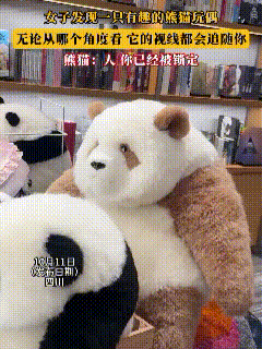解释不清了！成都，女子逛熊猫文创店时，随手拿起一只七仔玩偶，刚想转身跟朋友分享，