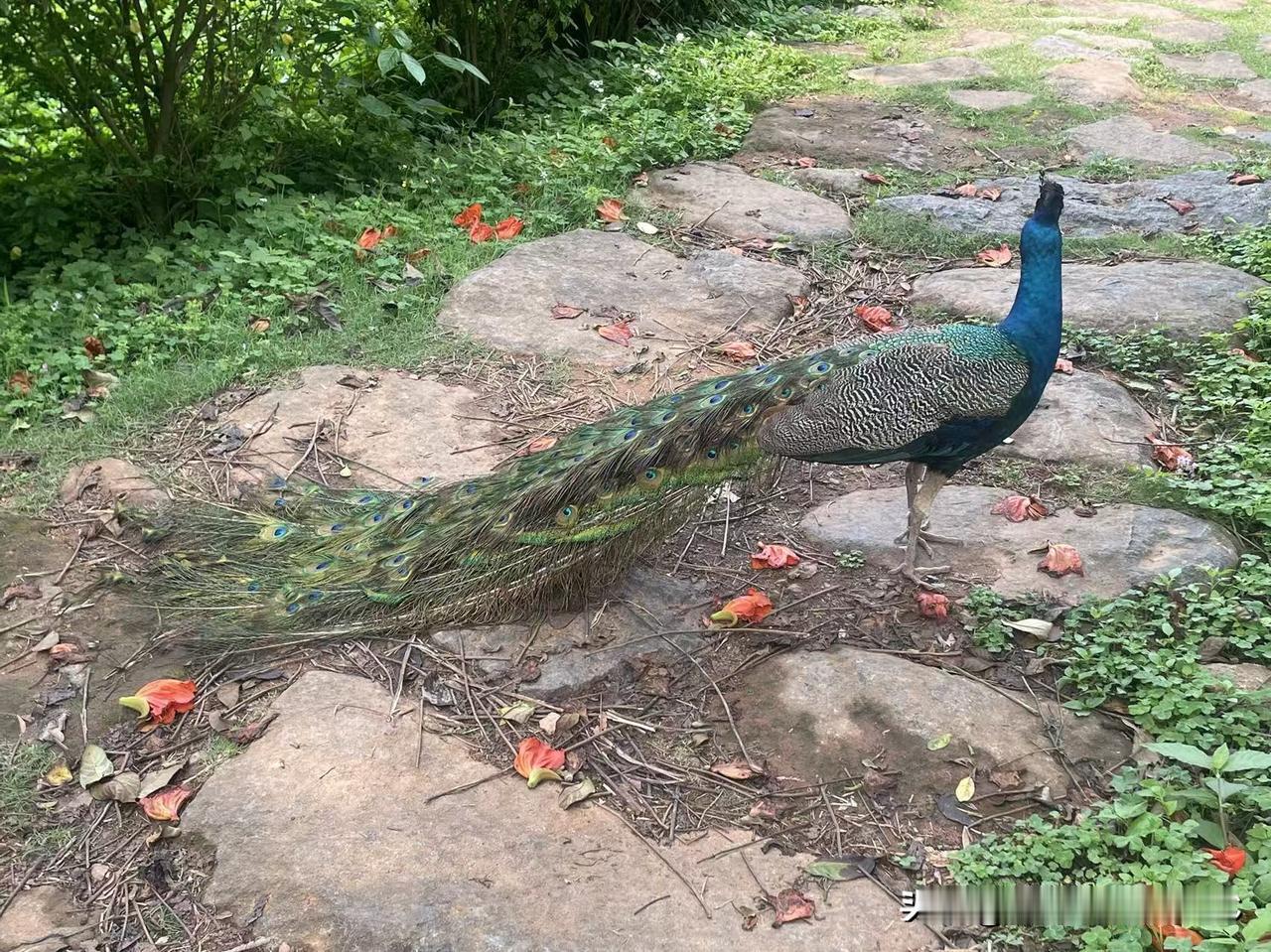 一起旅游看清楚了我和闺蜜的差距，闺蜜比我讲究，出门前她想带床上三件套，被我劝说后